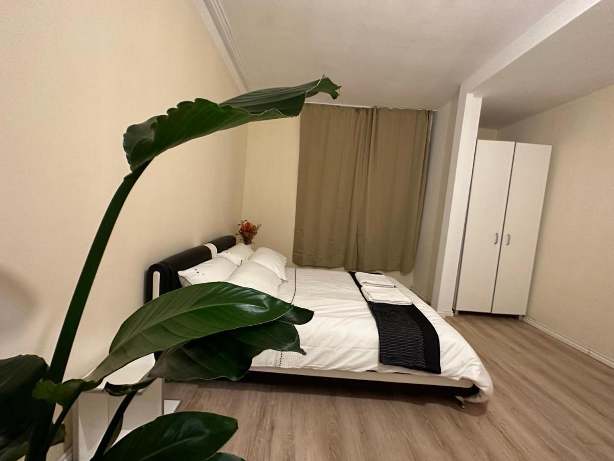 North London A Spacious 7 Bedroom House Accommodating Up To 18 People Complete With Own Gym And Table Tennis Luaran gambar